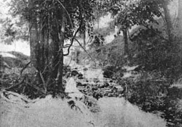 Fred Davis when young