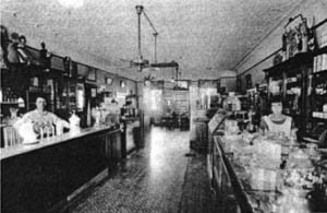 The Cricket in Creek Valley