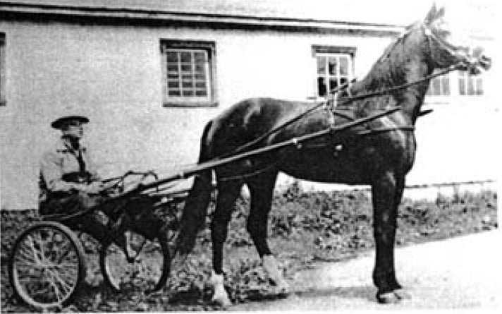 Unidentified Garrett family photograph
